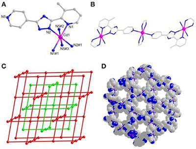 Different Benzendicarboxylate-Directed Structural Variations and Properties of Four New Porous Cd(II)-Pyridyl-Triazole Coordination Polymers